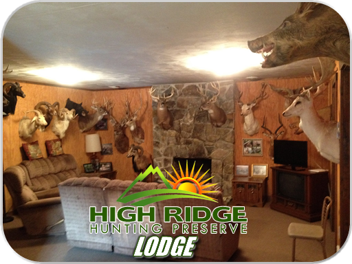 High Ridge Hunting Preserve Photos